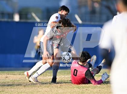Thumbnail 1 in Lee vs Madison photogallery.