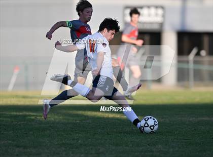 Thumbnail 2 in Lee vs Madison photogallery.