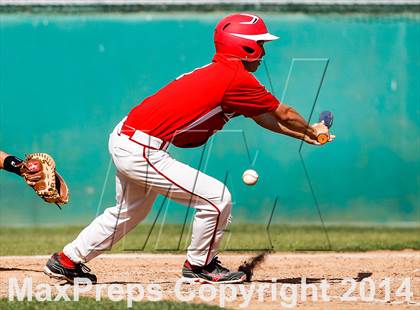 Thumbnail 1 in Sequoia vs. Westmont (CIF CCS D1 Semifinal Playoff) photogallery.