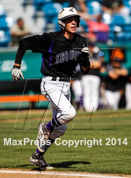Thumbnail 3 in Sequoia vs. Westmont (CIF CCS D1 Semifinal Playoff) photogallery.