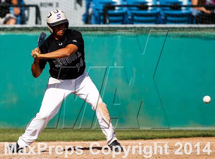 Thumbnail 1 in Sequoia vs. Westmont (CIF CCS D1 Semifinal Playoff) photogallery.