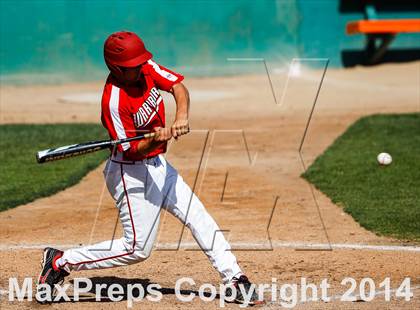 Thumbnail 3 in Sequoia vs. Westmont (CIF CCS D1 Semifinal Playoff) photogallery.