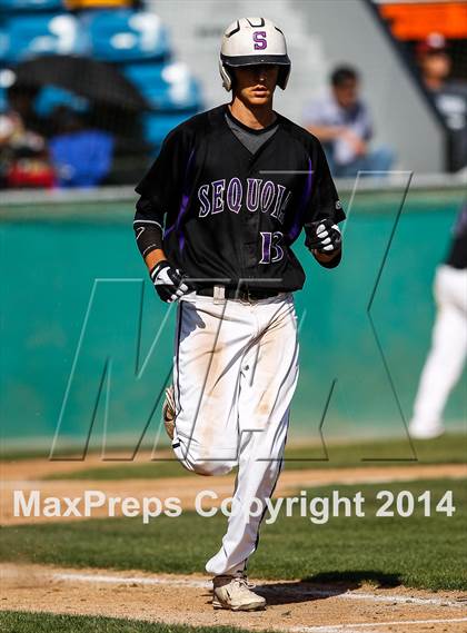 Thumbnail 3 in Sequoia vs. Westmont (CIF CCS D1 Semifinal Playoff) photogallery.