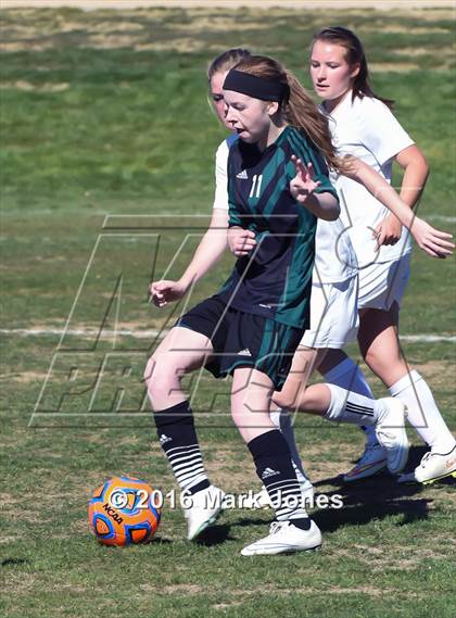 Thumbnail 1 in Anthem Prep vs. Youngker (AIA D4 Playoff) photogallery.