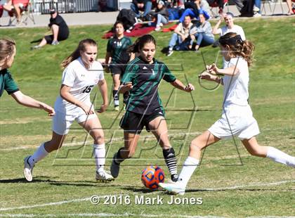 Thumbnail 3 in Anthem Prep vs. Youngker (AIA D4 Playoff) photogallery.
