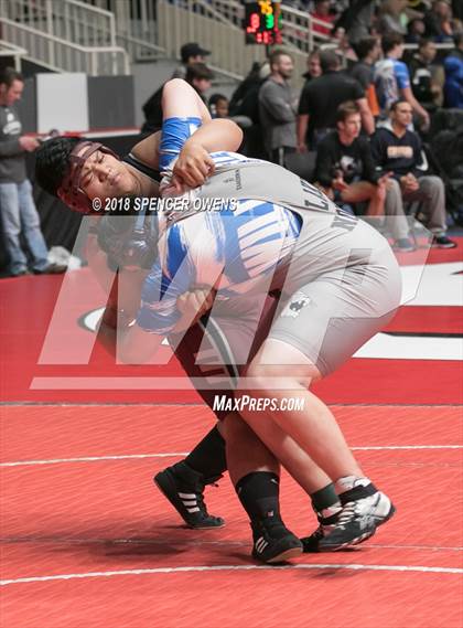 Thumbnail 1 in Holy Angels Wrestling Invitational photogallery.