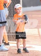 Photo from the gallery "Cathedral Prep @ Northwest Christian (Wolves Classic Tournament)"