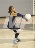 Photo from the gallery "Sumner @ Morgan"