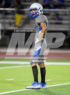Photo from the gallery "Westwood @ Dobson"