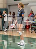 Photo from the gallery "Poudre @ Fossil Ridge"