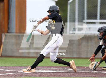 Thumbnail 1 in Alameda @ Cardinal Newman  (CIF NCS D2 Quarterfinals) photogallery.