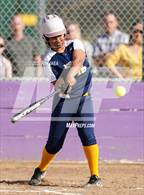 Photo from the gallery "Rosemont @ Franklin"