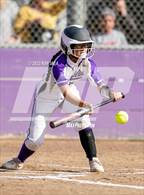 Photo from the gallery "Rosemont @ Franklin"