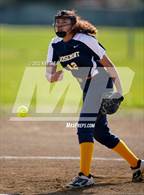 Photo from the gallery "Rosemont @ Franklin"