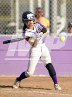 Photo from the gallery "Rosemont @ Franklin"