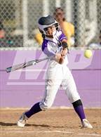 Photo from the gallery "Rosemont @ Franklin"