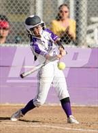 Photo from the gallery "Rosemont @ Franklin"