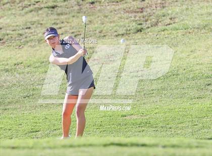 Thumbnail 1 in Milpitas vs Homestead photogallery.