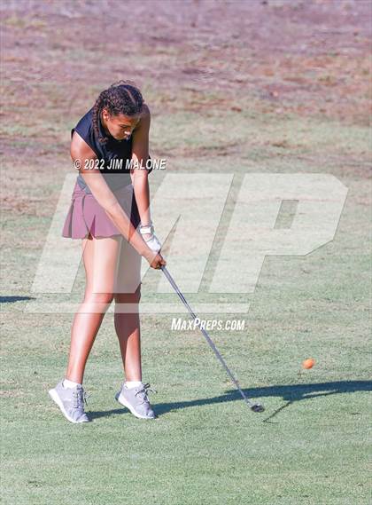 Thumbnail 2 in Milpitas vs Homestead photogallery.