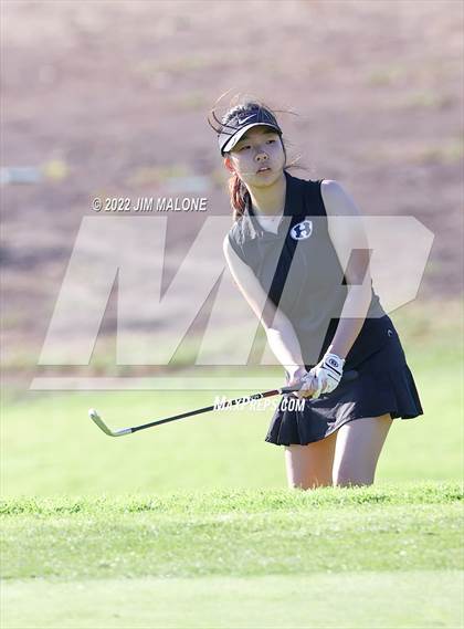 Thumbnail 3 in Milpitas vs Homestead photogallery.