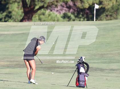 Thumbnail 2 in Milpitas vs Homestead photogallery.