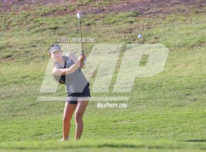 Thumbnail 2 in Milpitas vs Homestead photogallery.