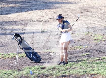 Thumbnail 3 in Milpitas vs Homestead photogallery.