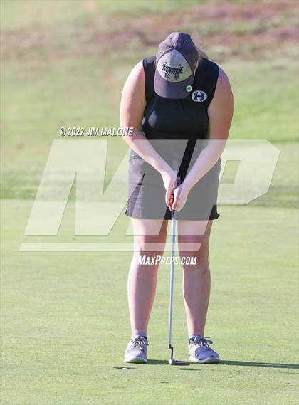 Thumbnail 1 in Milpitas vs Homestead photogallery.