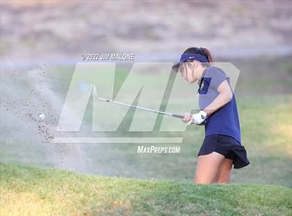 Thumbnail 2 in Milpitas vs Homestead photogallery.