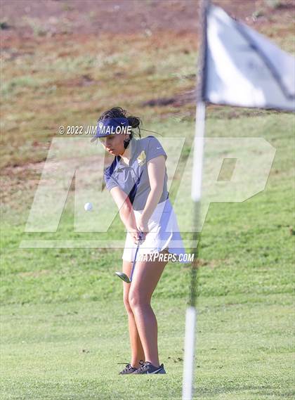Thumbnail 1 in Milpitas vs Homestead photogallery.