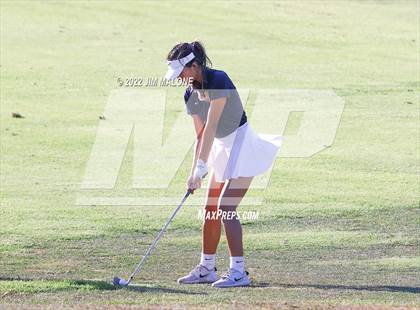 Thumbnail 3 in Milpitas vs Homestead photogallery.