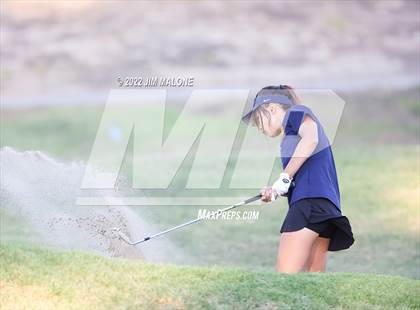 Thumbnail 1 in Milpitas vs Homestead photogallery.