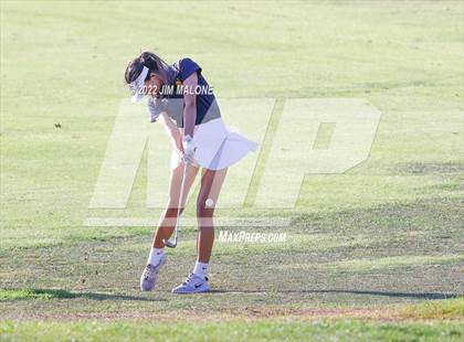 Thumbnail 1 in Milpitas vs Homestead photogallery.