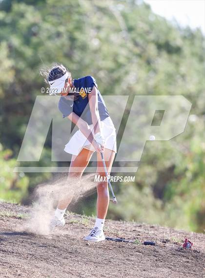 Thumbnail 1 in Milpitas vs Homestead photogallery.