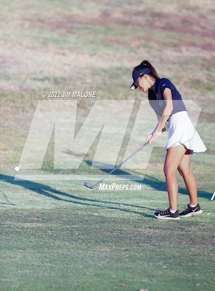 Thumbnail 2 in Milpitas vs Homestead photogallery.