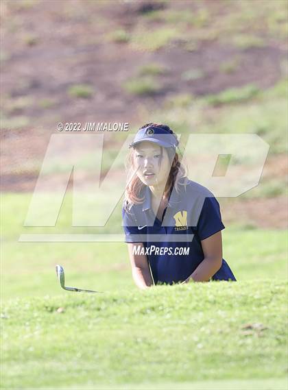 Thumbnail 3 in Milpitas vs Homestead photogallery.