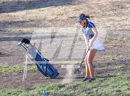 Thumbnail 2 in Milpitas vs Homestead photogallery.