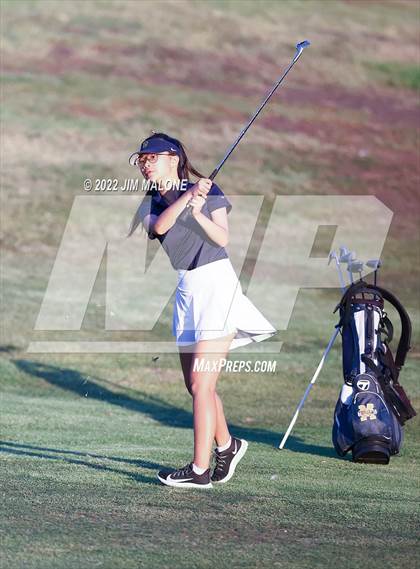 Thumbnail 3 in Milpitas vs Homestead photogallery.