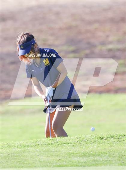 Thumbnail 1 in Milpitas vs Homestead photogallery.