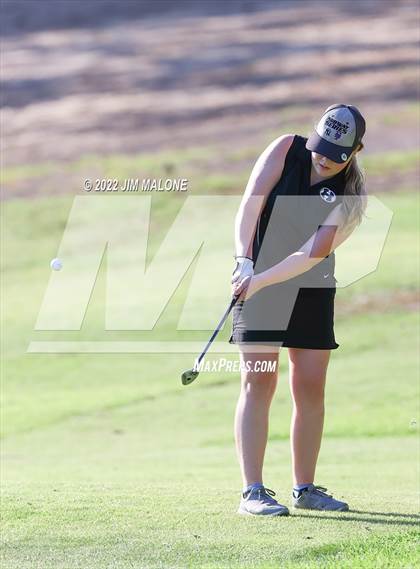 Thumbnail 2 in Milpitas vs Homestead photogallery.