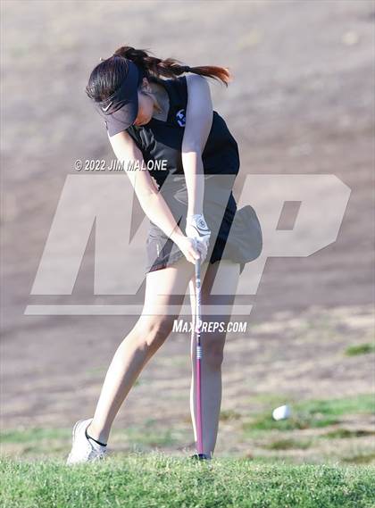 Thumbnail 2 in Milpitas vs Homestead photogallery.