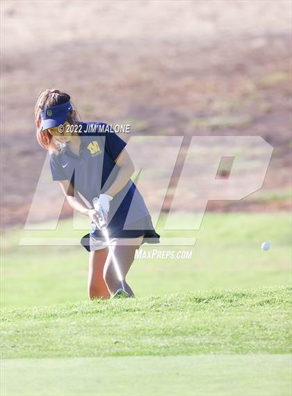 Thumbnail 2 in Milpitas vs Homestead photogallery.