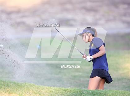 Thumbnail 3 in Milpitas vs Homestead photogallery.