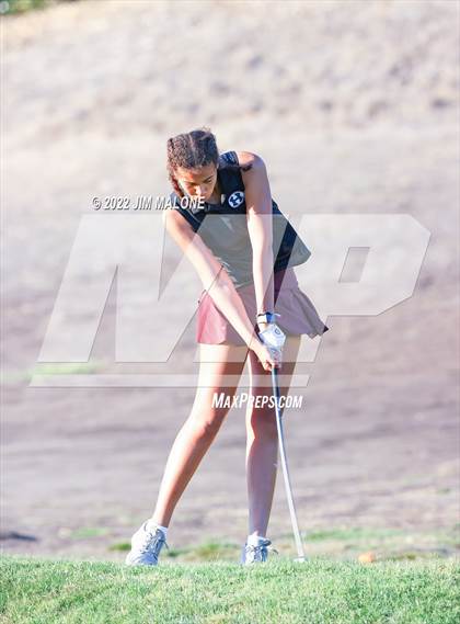 Thumbnail 3 in Milpitas vs Homestead photogallery.