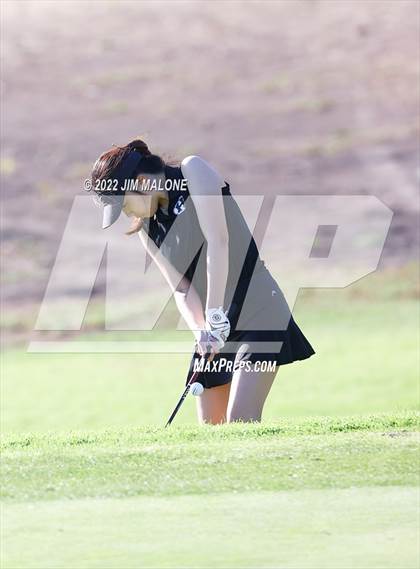 Thumbnail 3 in Milpitas vs Homestead photogallery.