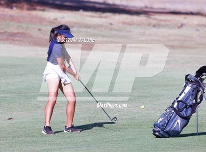 Thumbnail 1 in Milpitas vs Homestead photogallery.
