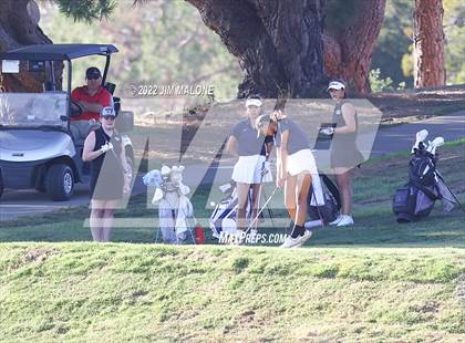 Thumbnail 3 in Milpitas vs Homestead photogallery.