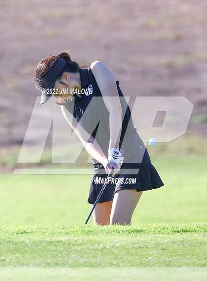 Thumbnail 1 in Milpitas vs Homestead photogallery.