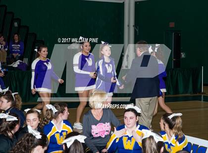 Thumbnail 2 in Section 9 Cheerleading Championship photogallery.