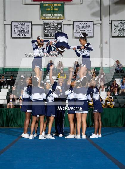 Thumbnail 3 in Section 9 Cheerleading Championship photogallery.